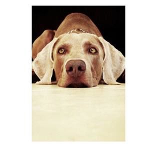 Meet your Posher, Anne